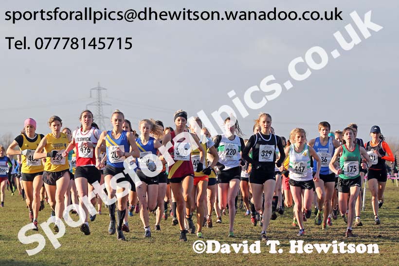 Senior womens Northern Cross Country  Championships, Pontefract. Photo: David T. Hewitson/Sports for All Pics